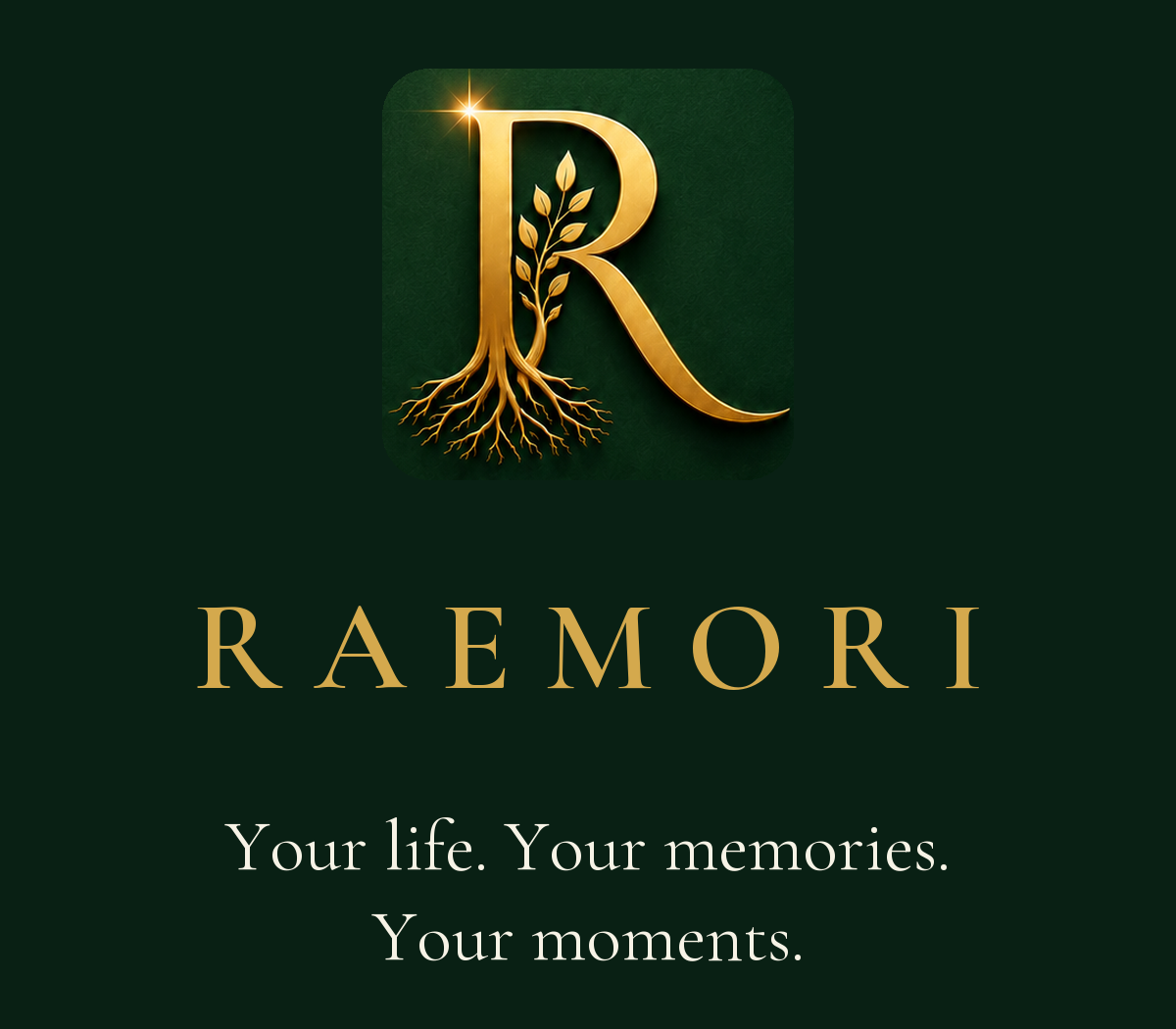 Raemori logo